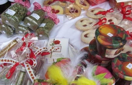 Unser traditioneller Muttertags-Spendenverkauf findet wieder vor dem Coop City in Olten statt.